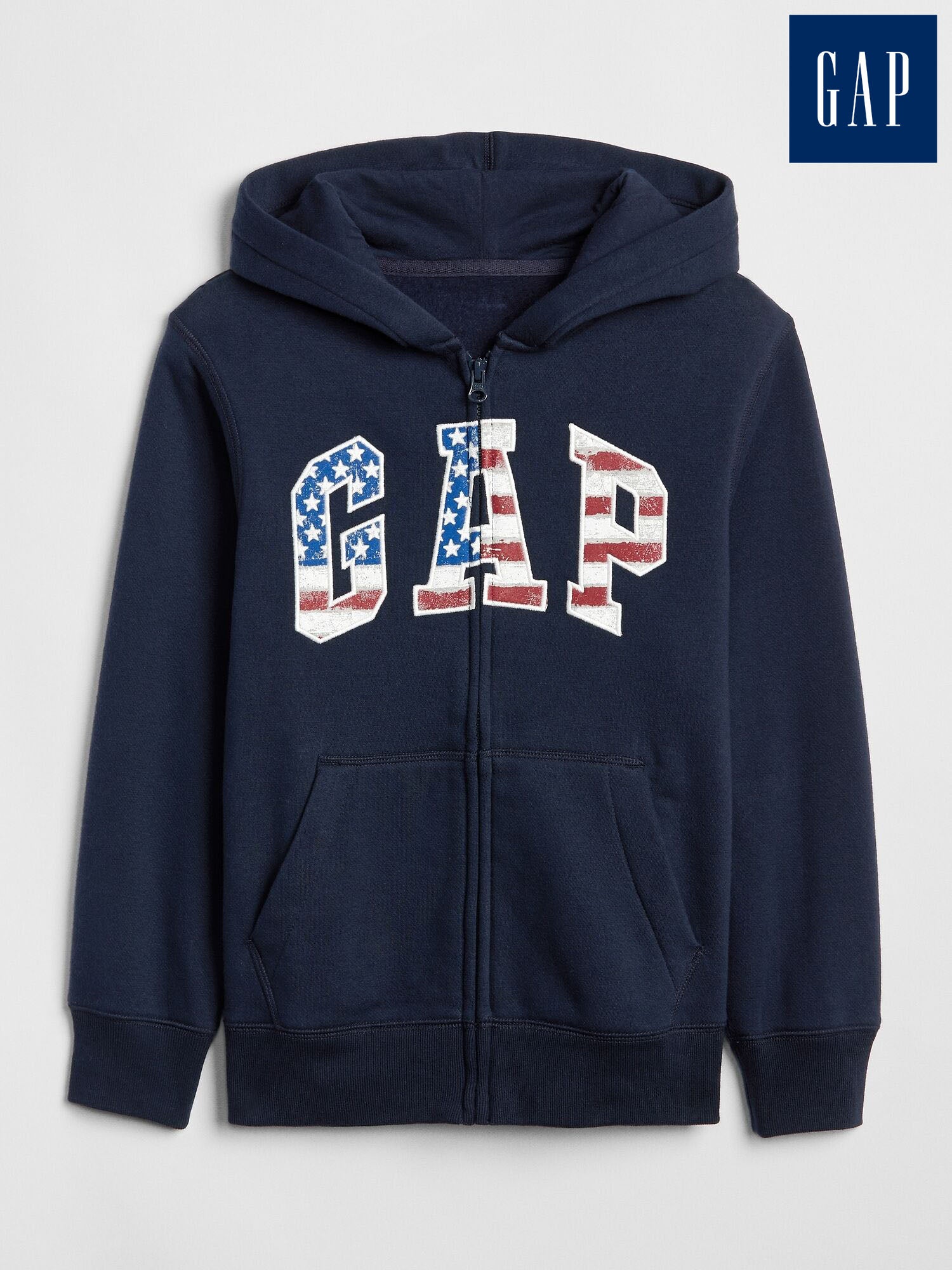 Kids Americana Gap Logo Hoodie